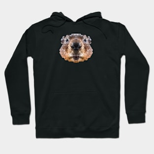 Minimalist Geometric Stylized Animals - Beaver Hoodie